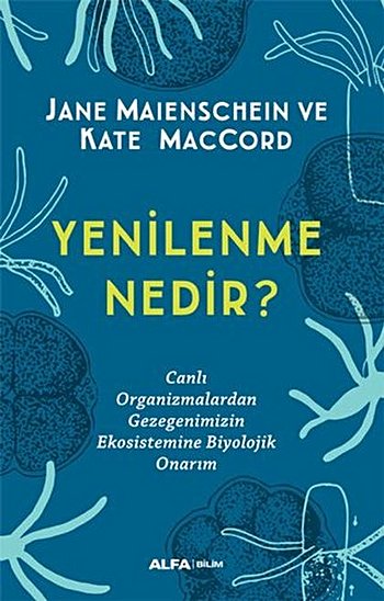 Yenilenme Nedir?