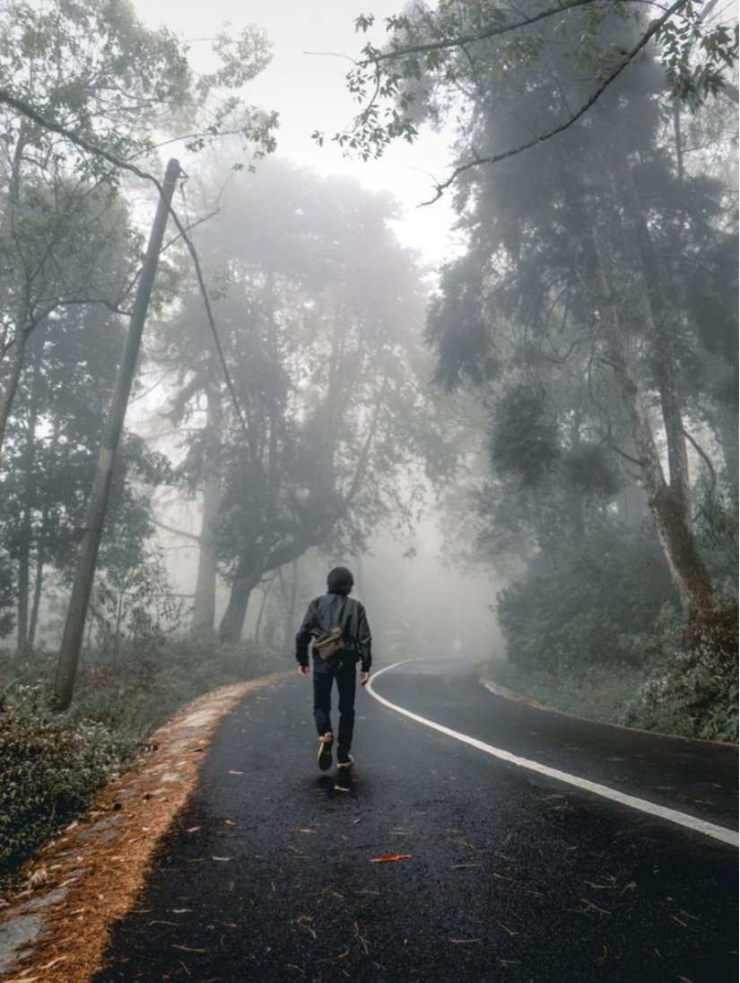 Yalnızlık , bu insanların kendi tercihidir.