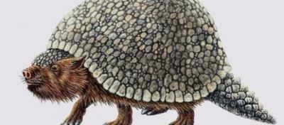 Glyptodon