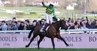 Grand National favourite scratched from Aintree showpiece despite Cheltenham win