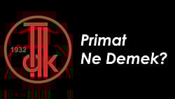 Türk Dil Kurumu ve "Primat" Sözcüğünün Hatalı Tanımı Hakkında