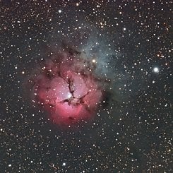A Beautiful Trifid