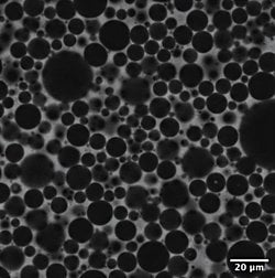 Köpük Fiziği ile Yapay Zekâ Arasında Beklenmedik Bağlantı: Köpükler AI Gibi “Öğreniyor”.