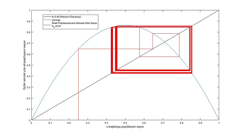 Sinek Popülasyonunun Zamana Göre Sayısı (Periyot-4 Davranışı) (Grafik-9)