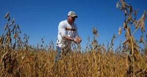 China Freezes US Soybean Imports Amid Trade War