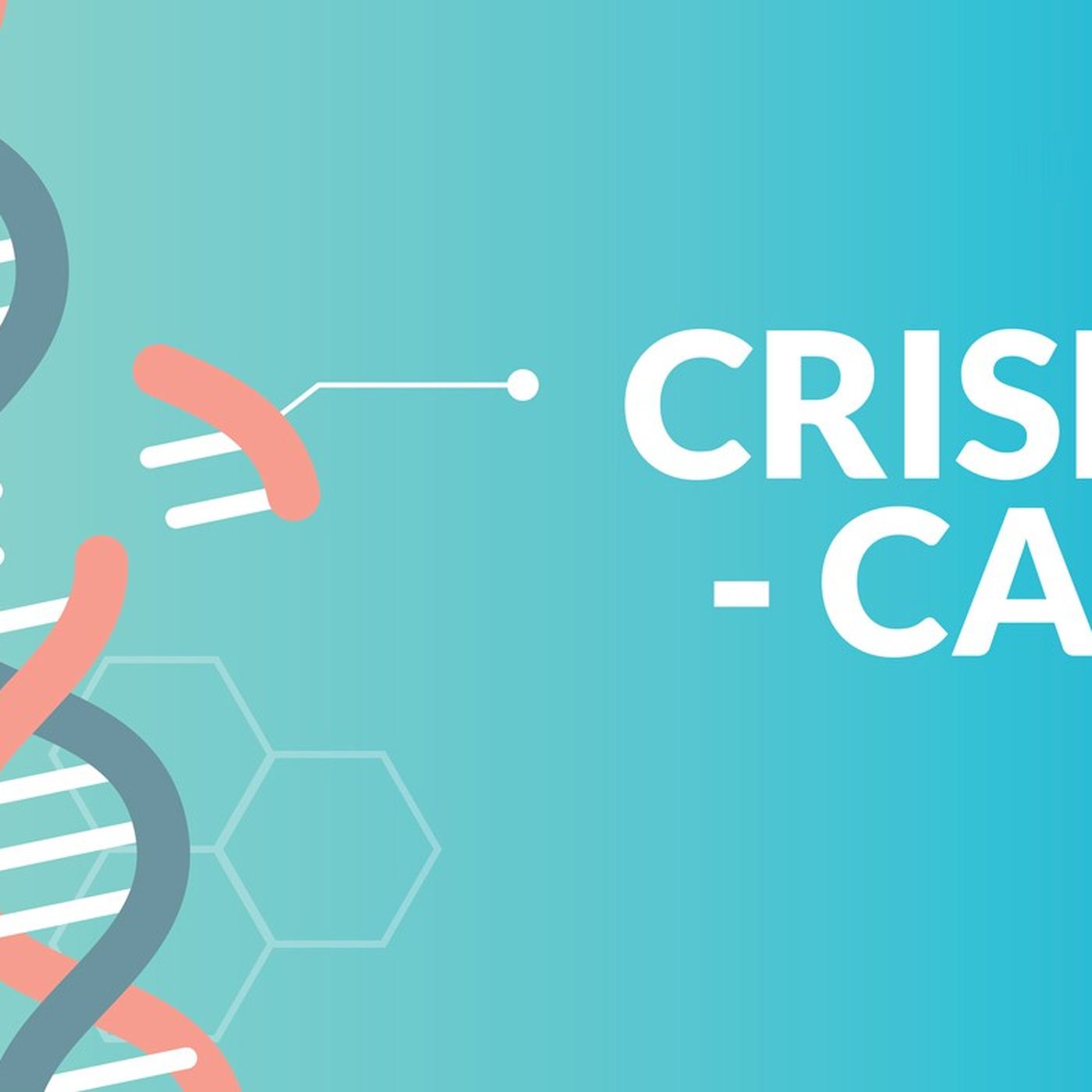 CRISPR Gen Düzenleme Yöntemi Nedir?