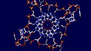 Dörtlü Sarmal (Heliks) DNA:  İnsan Genomunda Bulunan İlginç DNA Formu!