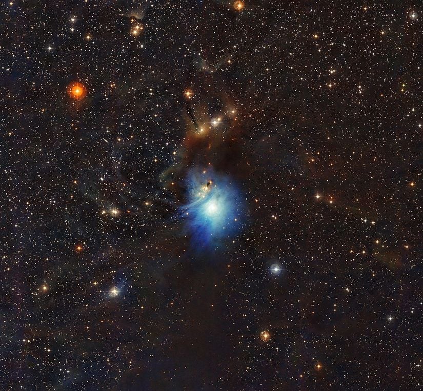 IC 2631