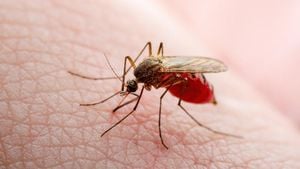 Record Dengue Outbreak Signals Urgent Action Needed