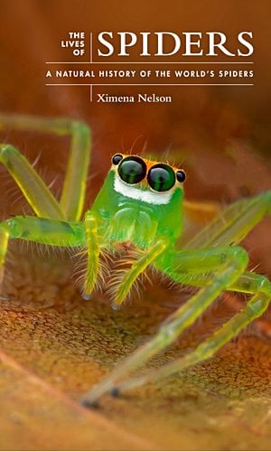 The Lives of Spiders