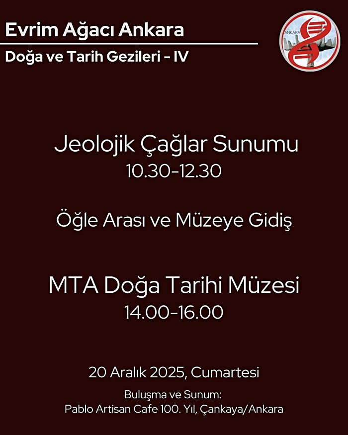 Jeolojik Çağlar Sunumu ve MTA Doğa Tarihi Müzesi Gezisi