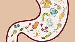 Vücudumuzdaki Mikroplar, Davranışlarımızı Etkileyebilir mi?