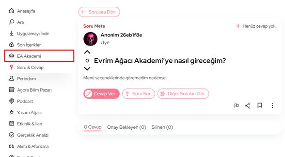 EA Akademinin menüdeki konumu.