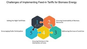 Unpacking Public Intentions For Biomass Project Participation