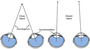 New Study Reveals Systematic Biases In 3D Depth Perception