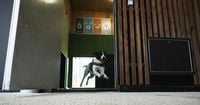 Rome's airport opens luxurious dog hotel with pampering services