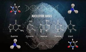 NASA's OSIRIS-REx Mission Uncovers Life's Building Blocks From Asteroid Bennu