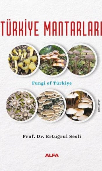 Türkiye Mantarları