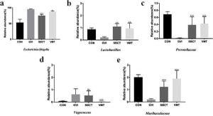 Vaginal Microbiota Transplantation Shows Promise For Alleviating Atrophy