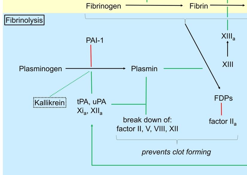 Fibrinoliz