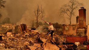 Los Angeles Wildfires: A Harrowing Reminder Of Climate Change