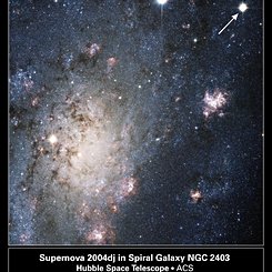 A Supernova in Nearby Galaxy NGC 2403