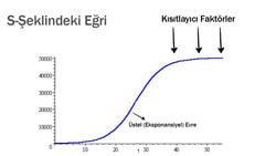 Bir Salgının Ne Zaman Duracağını Tahmin Etmek Neden Zordur?