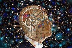 Bilgiyi Akılda Tutmak, Sinapslar Arasında Saklamak Anlamına Gelebilir