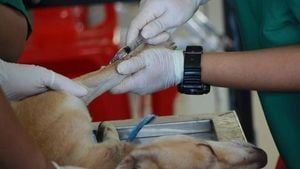 Teen Survives Rabies In India As World Unites Against Disease