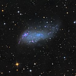 IC 2574: Coddington's Nebula