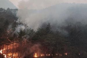 Severe Forest Fire Erupts In South Korea Amid Cherry Blossom Season