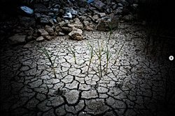 İklim Krizi ile türkiye'de nasıl projeler çalışılabilir?