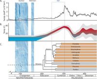 Benthic diel oxygen variability and stress as potential drivers for animal diversification in the Neoproterozoic-Palaeozoic - Nature Communications