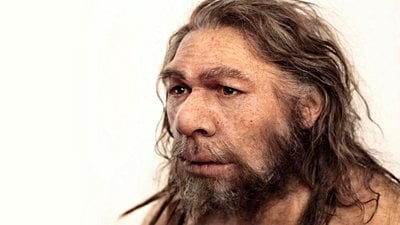 Neandertallere Ne Oldu?