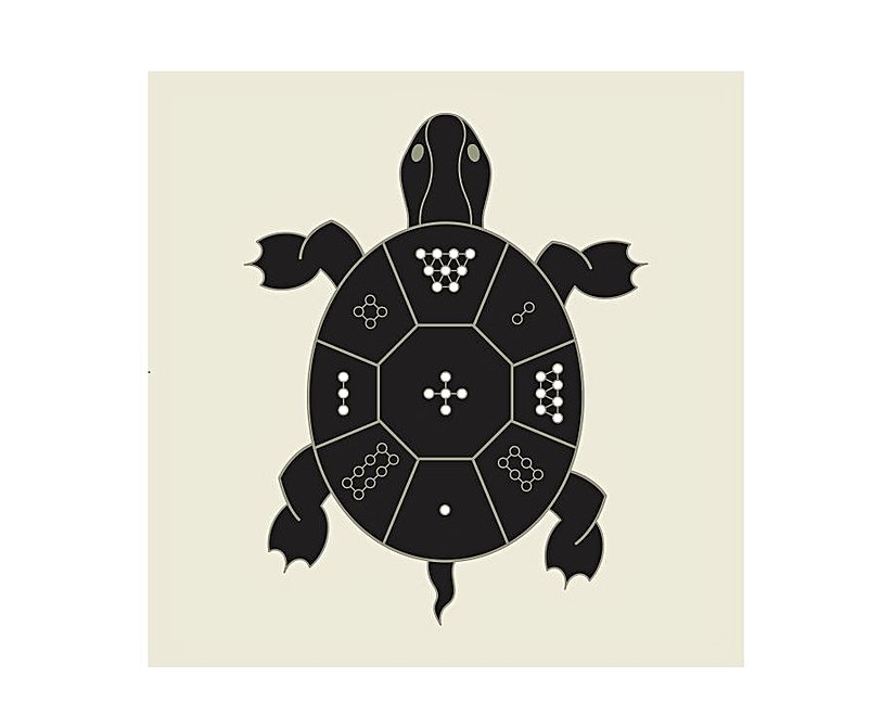 Lo Shu kaplumbağası.