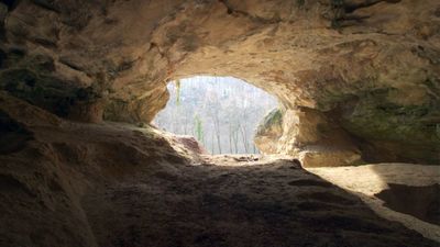 Neandertal DNA’nız Göbek Yağı mı Yapıyor?