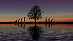 Evrimsel Süreçte Türleşmeyi Gözleyemeyeceğimiz İddiası Tamamen Hatalı; Türlerin Evrimini Gözleyebiliyoruz!