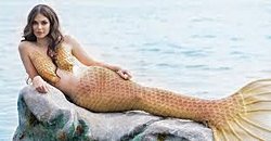 Deniz kızı Balık türünde mi insan türünde mi yer alır?