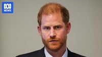 Prince Harry's US visa application followed 'applicable rules and regulations'