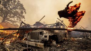 East Coast Faces Devastation From Historic Drought And Wildfires