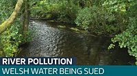 Welsh Water one of three firms sued in biggest UK legal claim over environmental pollution - Latest From ITV News