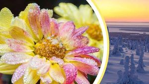 Eisheiligen 2025: Gardeners Brace For Potential Frost