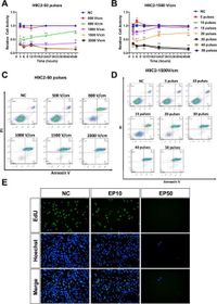 Microsecond pulsed electric fields induce myocardial ablation by secondary mitochondrial damage and cell death mechanisms - Scientific Reports
