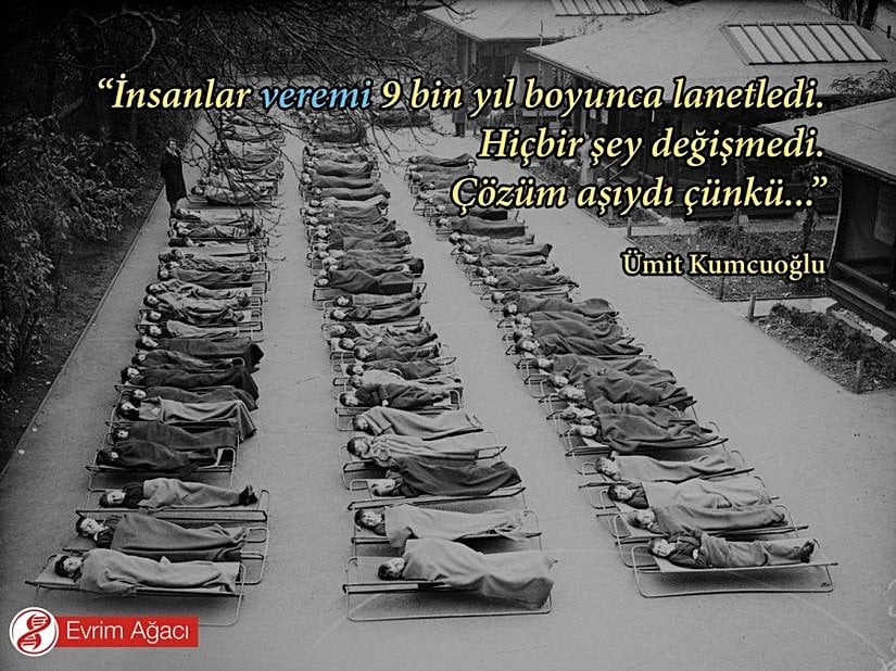 Londra'da bulunan Springfield Evi Açık Hava Okulu'nun avlusunda 1932 yılında çekilmiş bir fotoğraf. Verem hastası çocukların dışarıda uyuması isteniyordu; çünkü açık hava ve Güneş ışığının hastalığı iyileştirdiğine inanılıyordu. 20. yüzyılın başında her gün sadece ABD'de 450 kişi verem nedeniyle hayatını kaybediyordu. Bu dönemde verem, "ölüm" ile eş anlamlı idi. Günümüzde ise basit bir aşıyla önlenebilecek, yakalanıldığı halde ise antibiyotik tedavisiyle yok edilebilen bir hastalık.