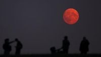 When is the next full moon? What to know about June's Strawberry Moon