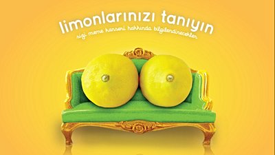 Limonlarınızı Tanıyın: Meme Kanseri Nedir? Erkekler Meme Kanseri Olur Mu?