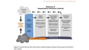 New Study Links Childhood Trauma To Kidney Disease Risk