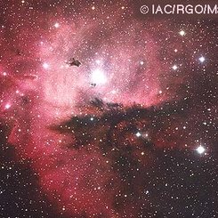 NGC 281: Küme, Bulutlar ve Globüller