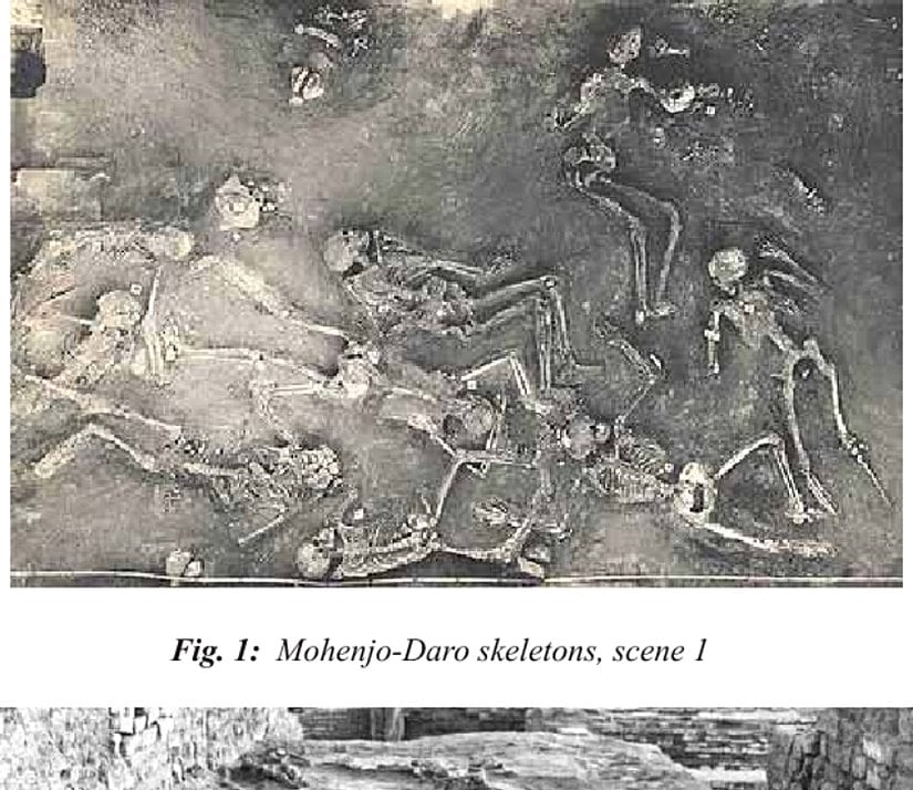 Kazı çalışmalarında ortaya çıkan bazı iskelet parçaları