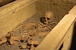 Bizler de bir yüz, iki yüz yıl sonra Paleontoloji başlığı altında mı toplanacağız?